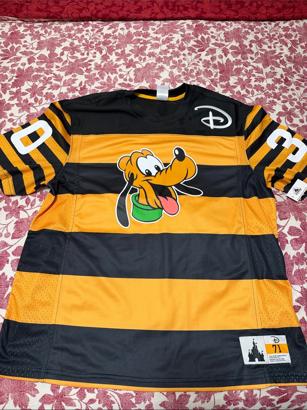 Walt Disney World Pluto Jersey